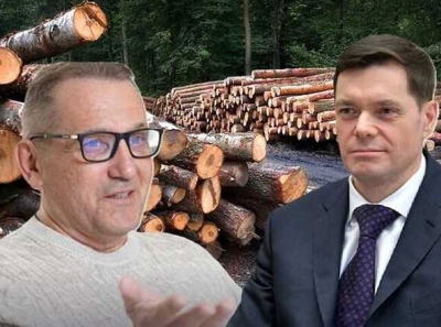 Вместе весело пилить: лесопромышленный «бизнес» Мордашова и Чуркина?